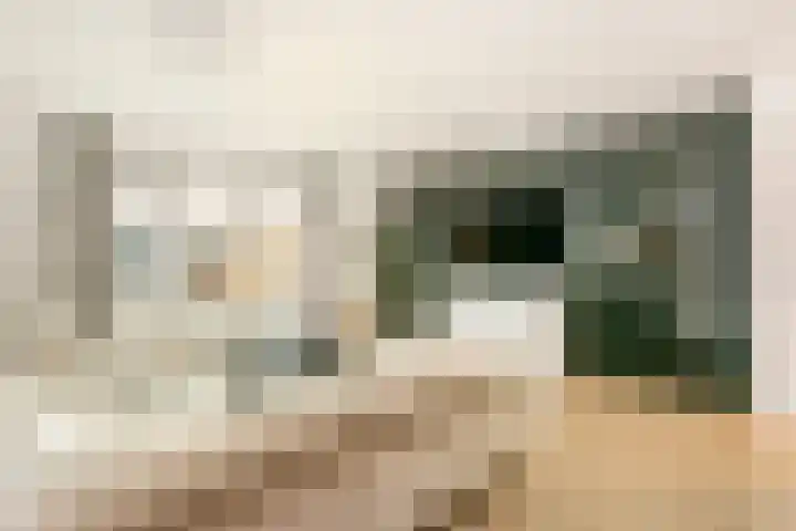Akkerdistel 2 De Meern thumbnail 5