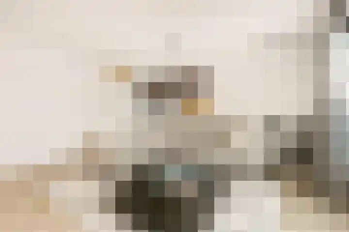 Akkerdistel 2 De Meern thumbnail 6