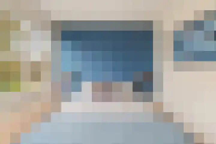Akkerdistel 5 Rotterdam thumbnail 16