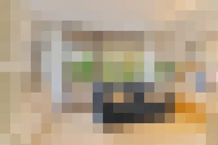 Akkerdistel 5 Rotterdam thumbnail 24