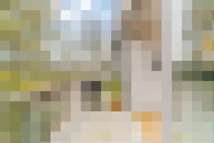 Akkerdistel 5 Rotterdam thumbnail 27