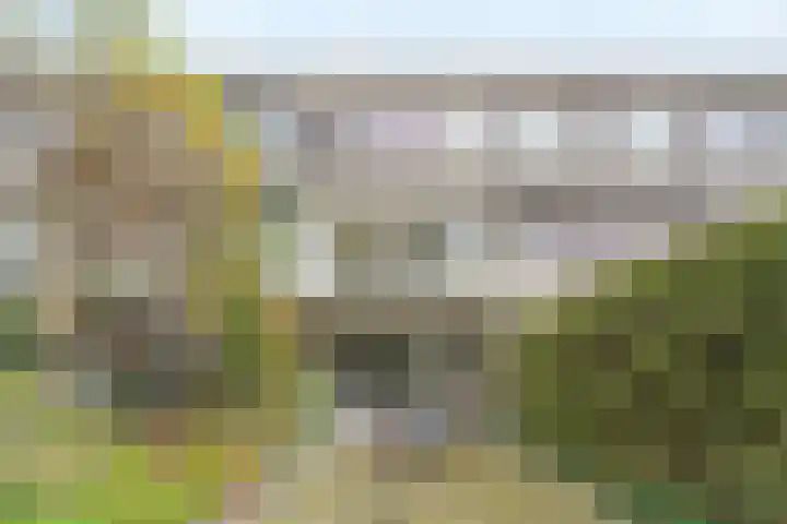 Akkerdistel 5 Rotterdam thumbnail 32