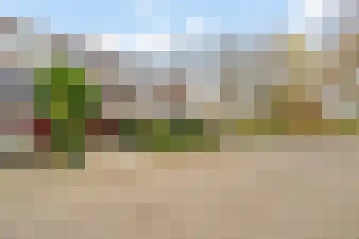 Akkerdistel 5 Rotterdam thumbnail 33
