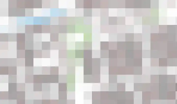 Akkerdistel 5 Rotterdam thumbnail 38