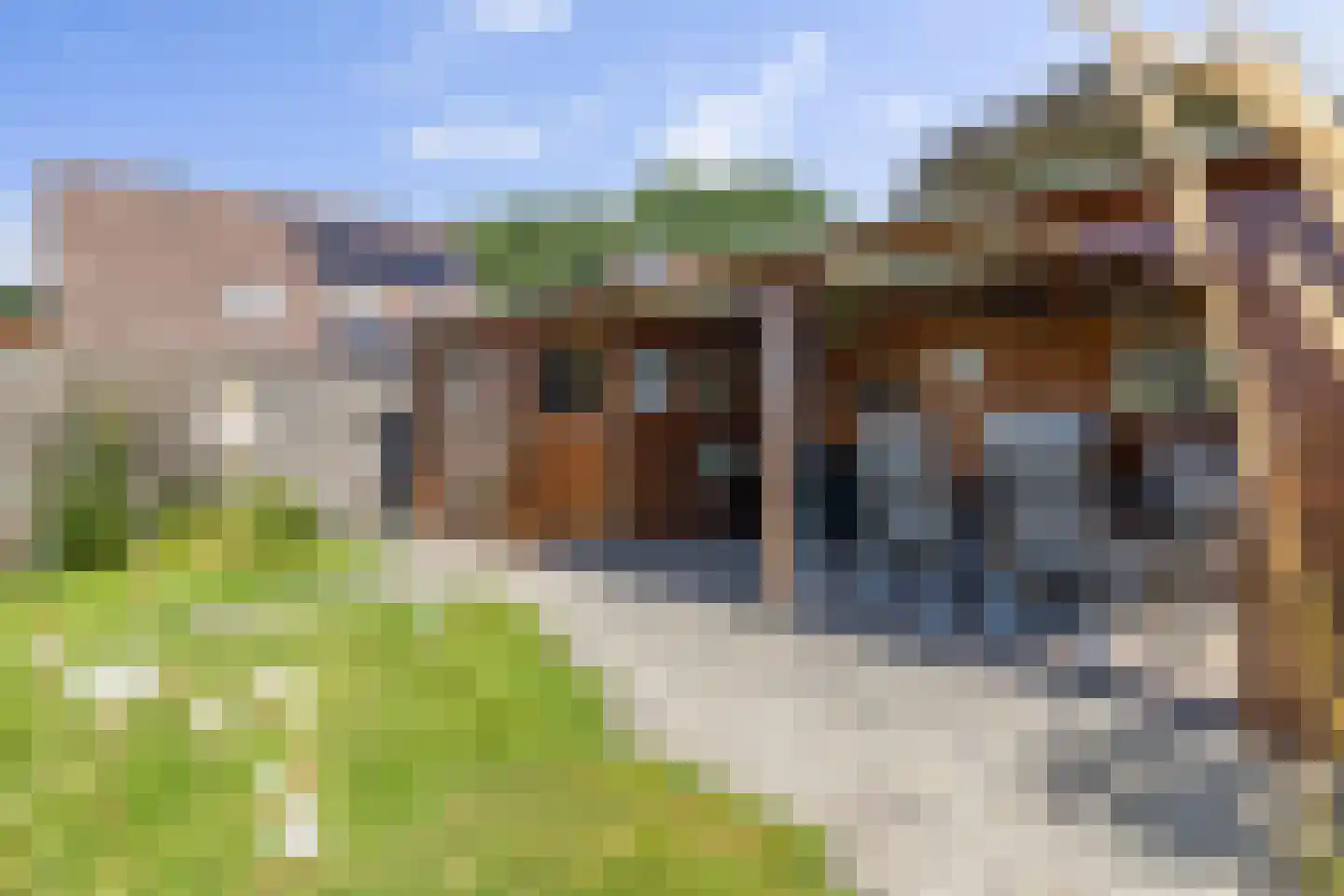 Akkerdistel 56 Klazienaveen thumbnail 11