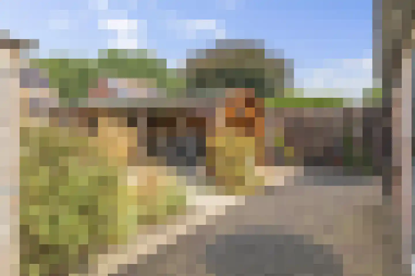 Akkerdistel 56 Klazienaveen thumbnail 13