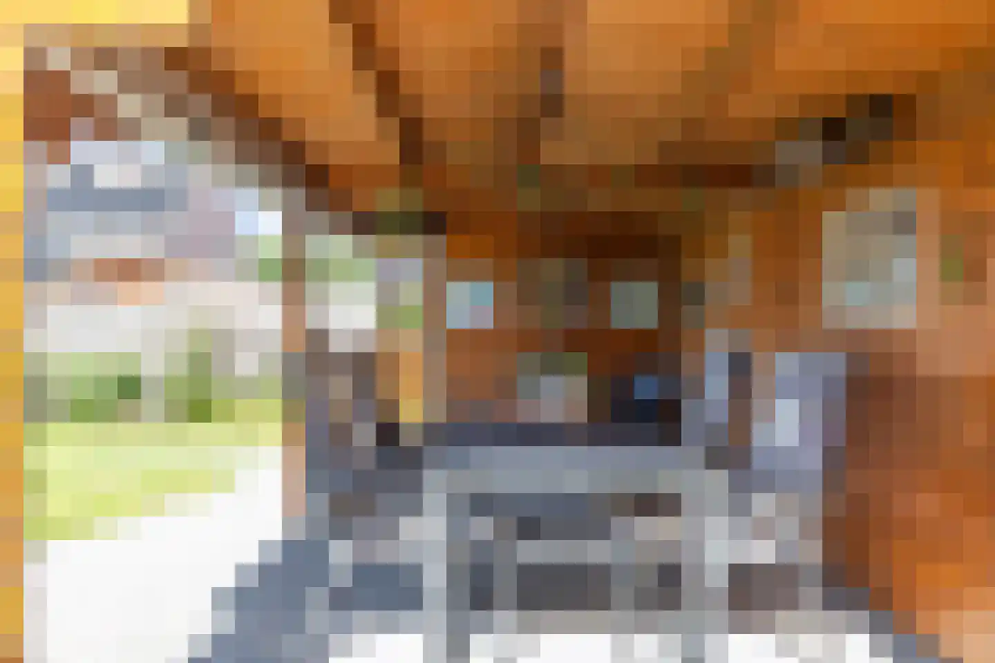 Akkerdistel 56 Klazienaveen thumbnail 15