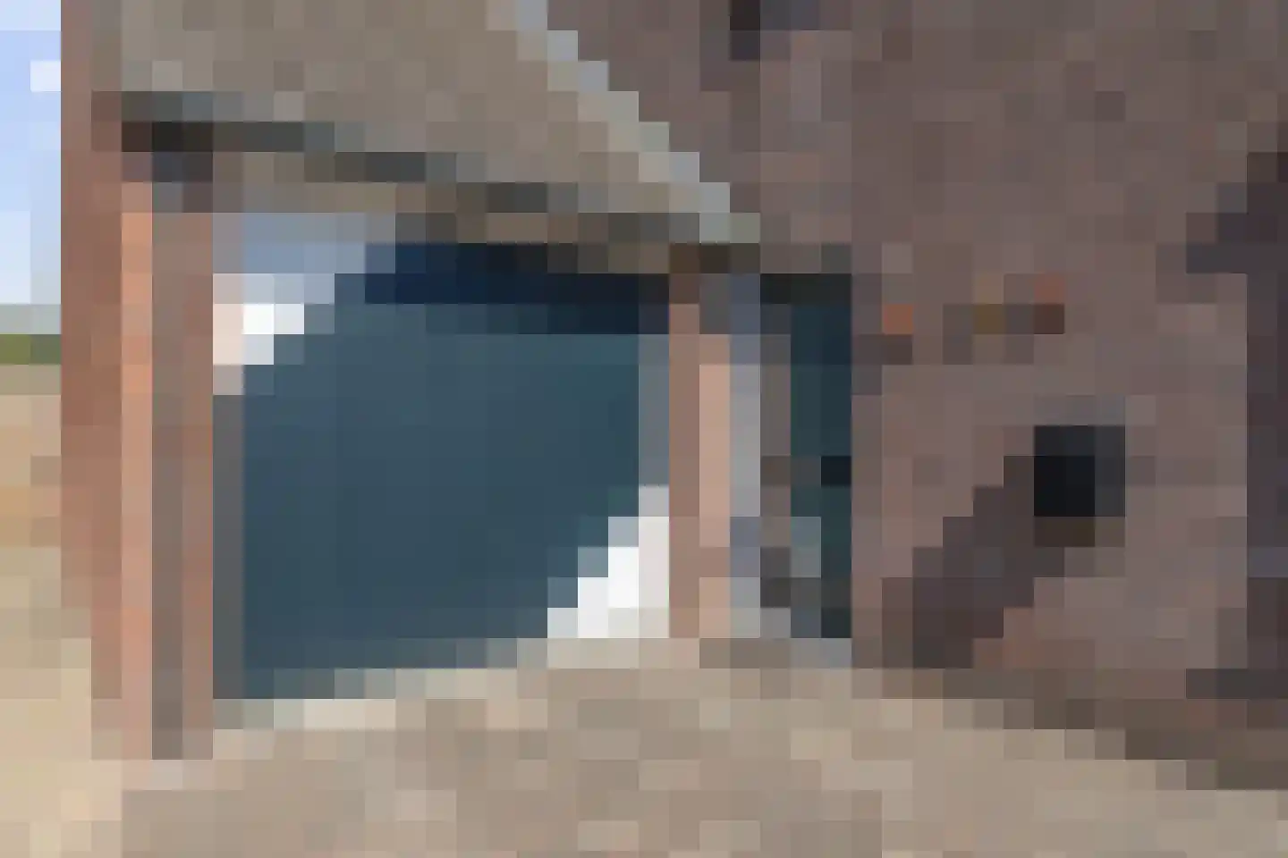 Akkerdistel 56 Klazienaveen thumbnail 16