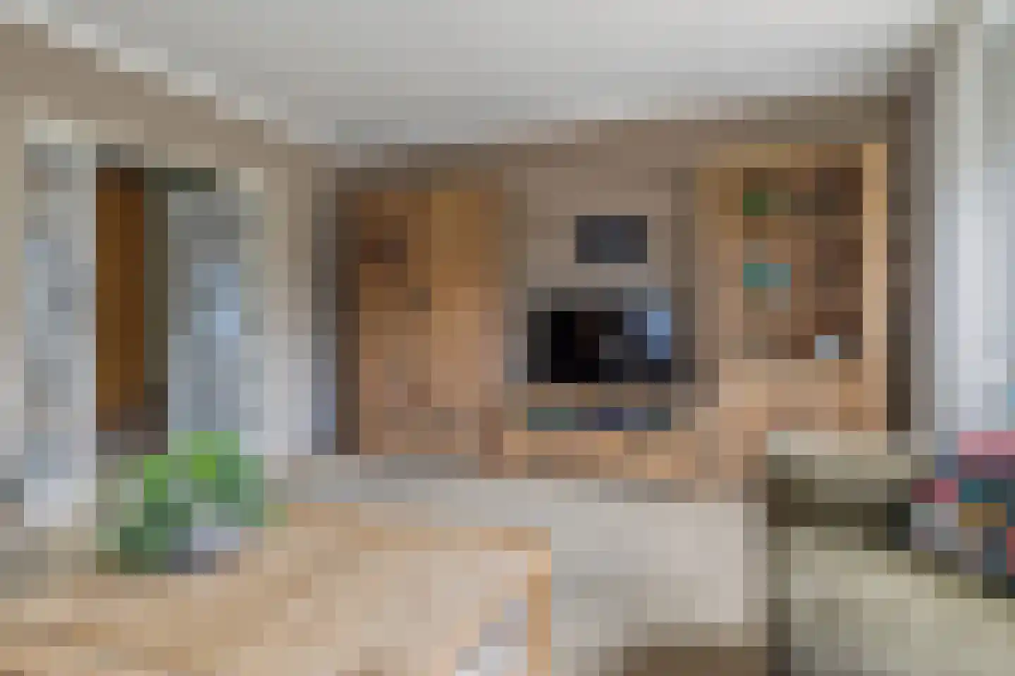 Akkerdistel 56 Klazienaveen thumbnail 21