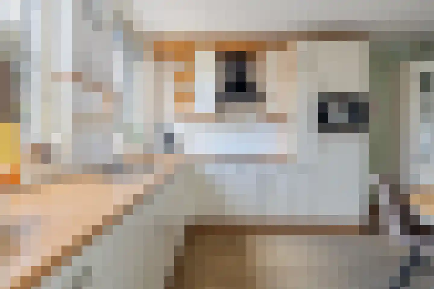 Akkerdistel 56 Klazienaveen thumbnail 26