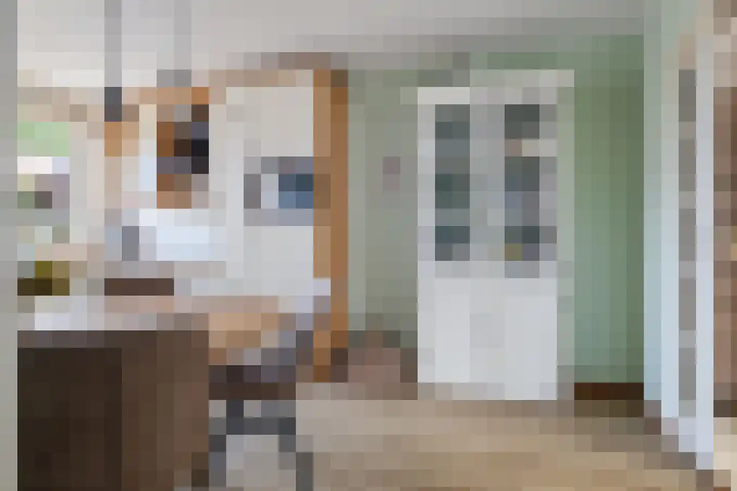 Akkerdistel 56 Klazienaveen thumbnail 27