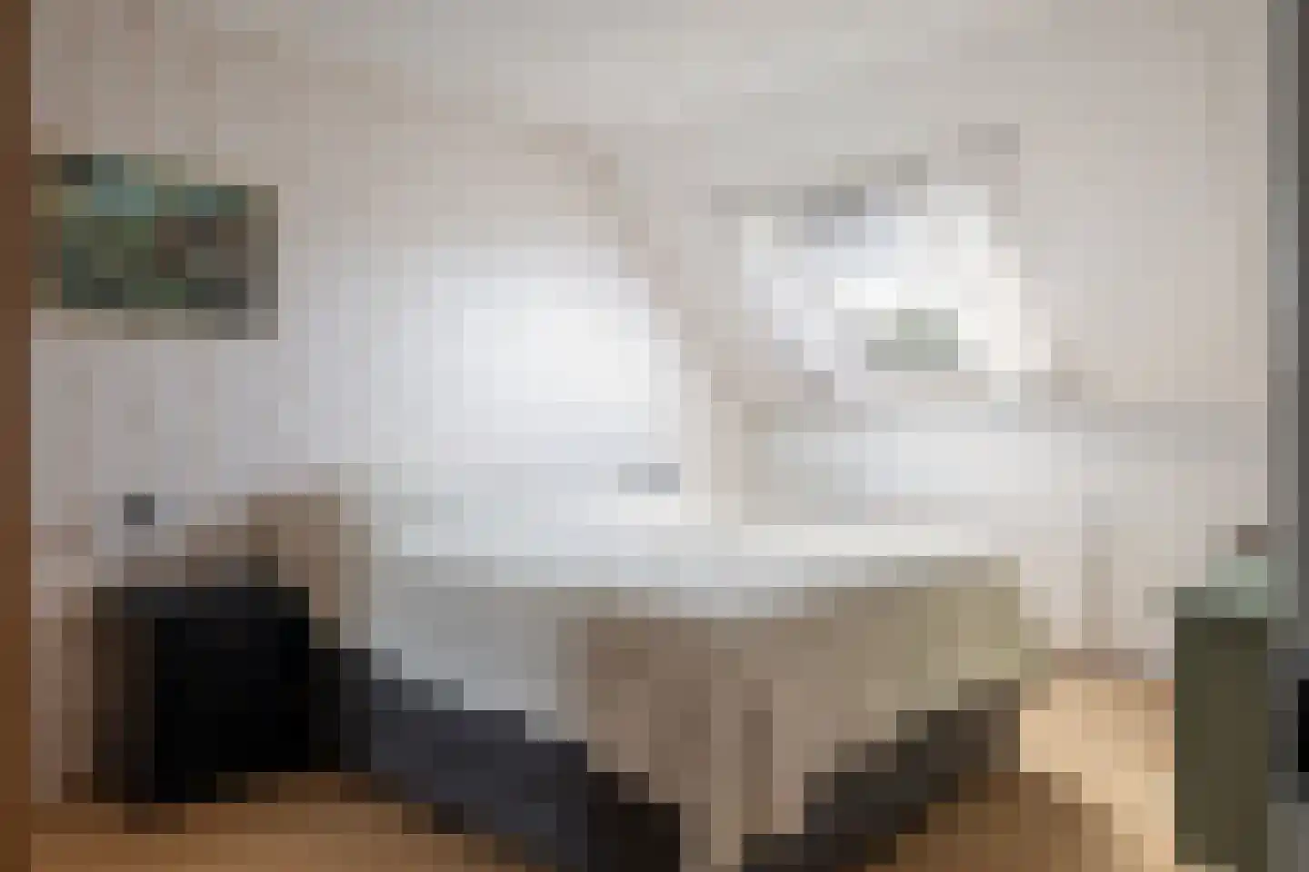 Akkerdistel 56 Klazienaveen thumbnail 31