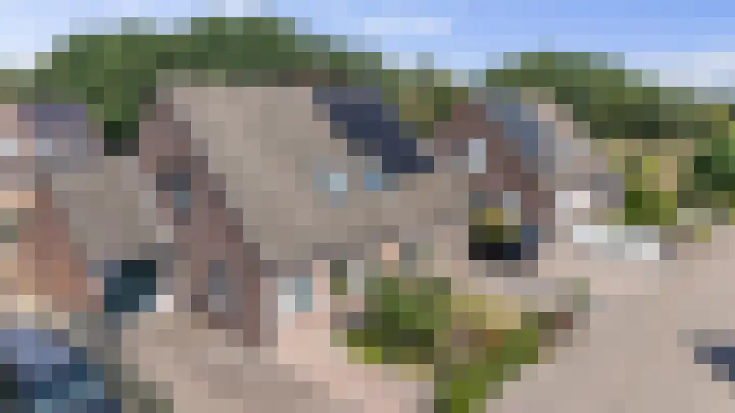 Akkerdistel 56 Klazienaveen thumbnail 41