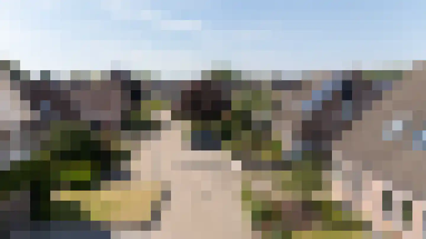 Akkerdistel 56 Klazienaveen thumbnail 42