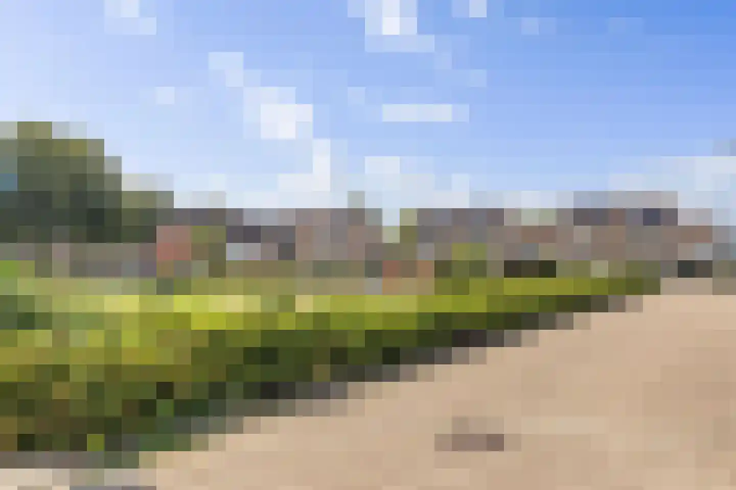 Akkerdistel 56 Klazienaveen thumbnail 43