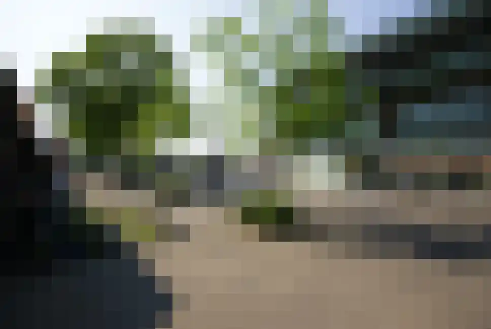 Akkerdistel 56 Klazienaveen thumbnail 46