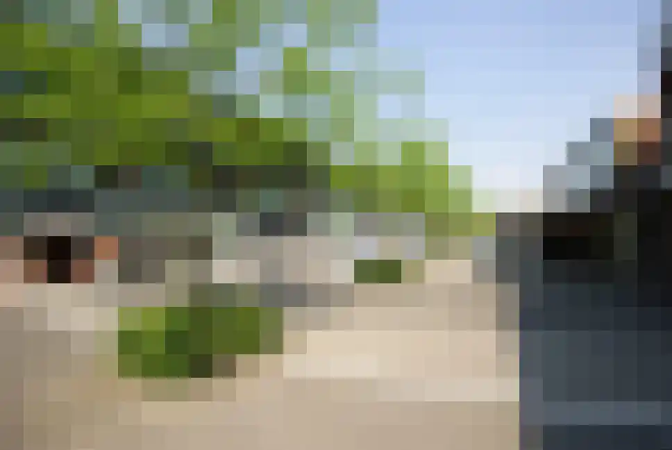 Akkerdistel 56 Klazienaveen thumbnail 47