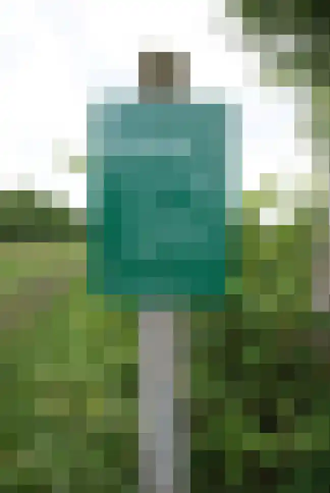 Akkerdistel 56 Klazienaveen thumbnail 49