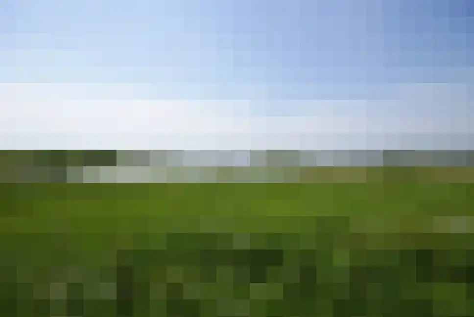 Akkerdistel 56 Klazienaveen thumbnail 50