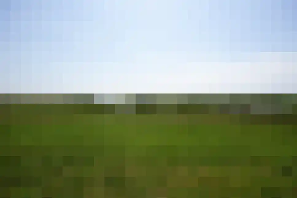 Akkerdistel 56 Klazienaveen thumbnail 51