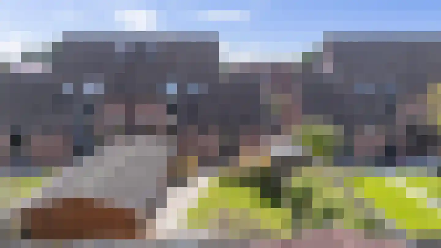 Akkerdistel 56 Klazienaveen thumbnail 9