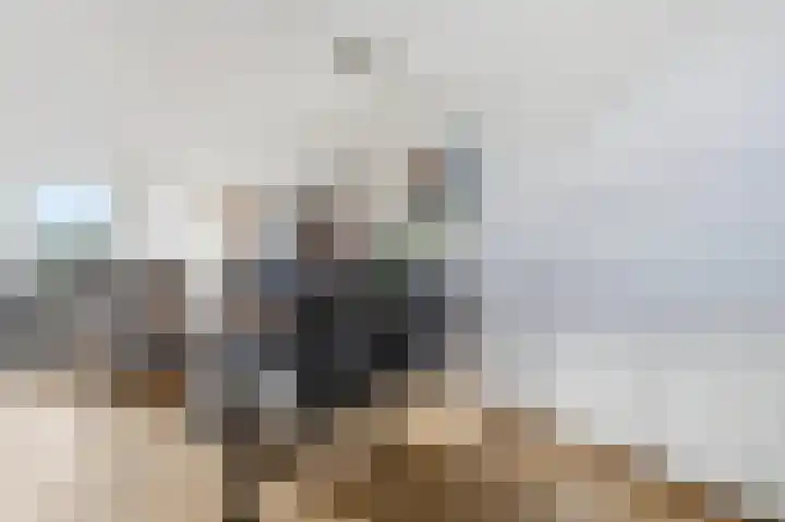Akkerdistel 63 Klazienaveen thumbnail 11