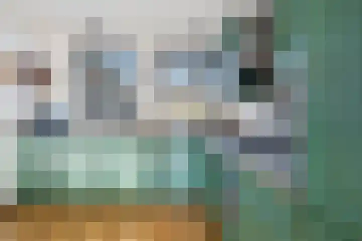 Akkerdistel 63 Klazienaveen thumbnail 12