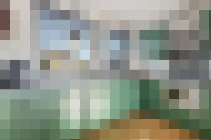 Akkerdistel 63 Klazienaveen thumbnail 13