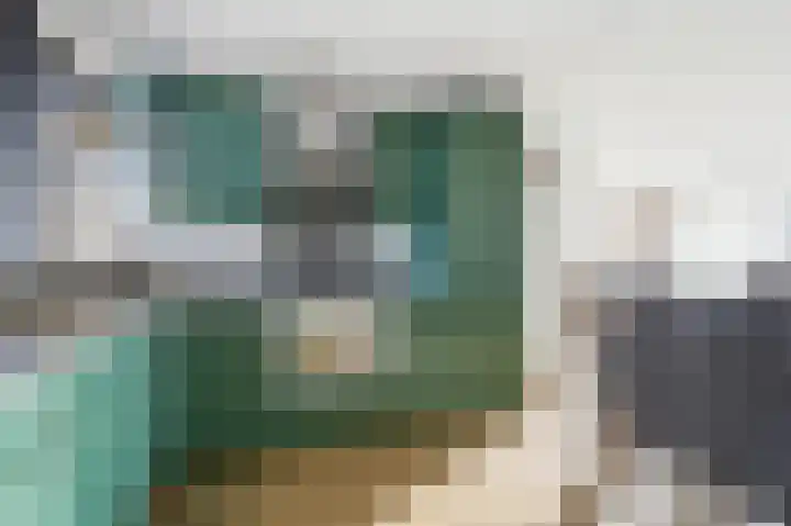 Akkerdistel 63 Klazienaveen thumbnail 14