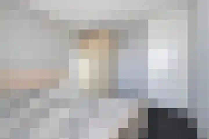 Akkerdistel 63 Klazienaveen thumbnail 19