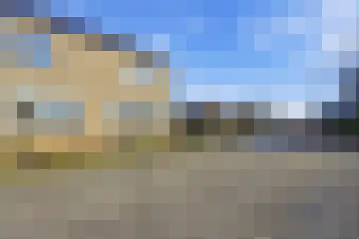 Akkerdistel 63 Klazienaveen thumbnail 26