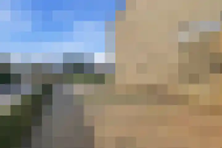 Akkerdistel 63 Klazienaveen thumbnail 27
