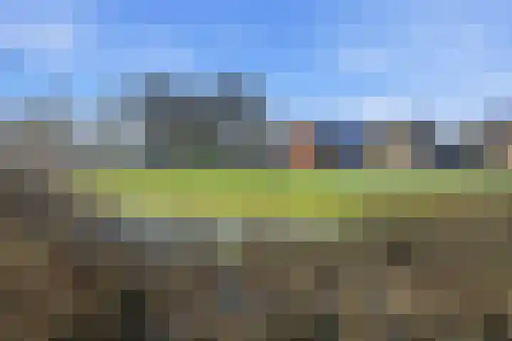 Akkerdistel 63 Klazienaveen thumbnail 28
