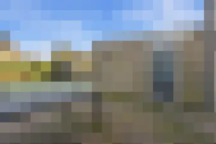 Akkerdistel 63 Klazienaveen thumbnail 30