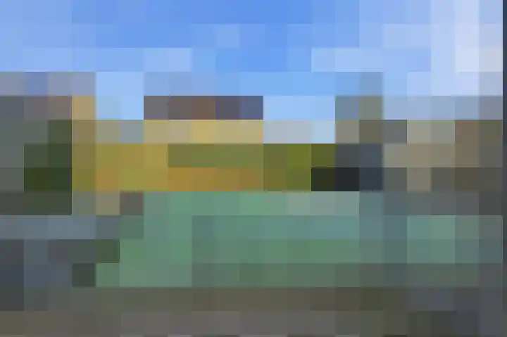 Akkerdistel 63 Klazienaveen thumbnail 31