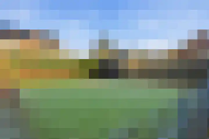 Akkerdistel 63 Klazienaveen thumbnail 32