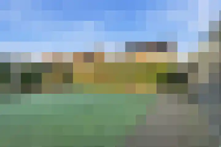 Akkerdistel 63 Klazienaveen thumbnail 33