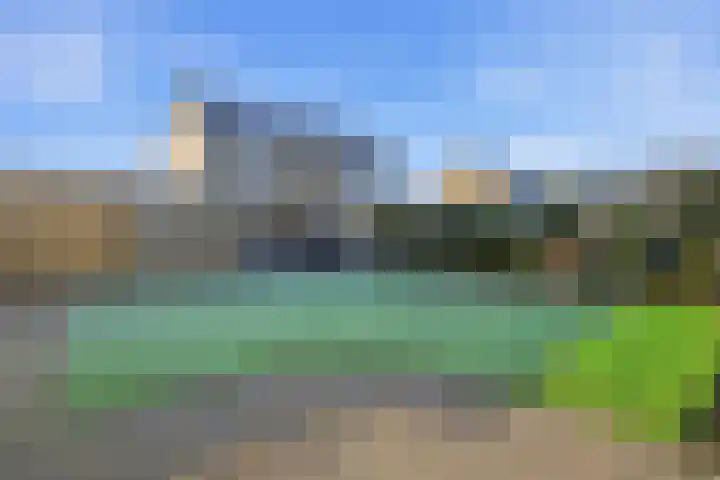 Akkerdistel 63 Klazienaveen thumbnail 34