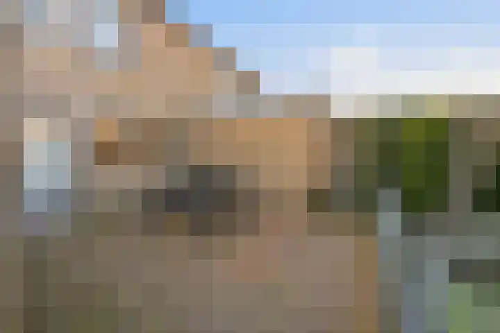 Akkerdistel 63 Klazienaveen thumbnail 35