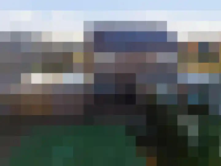 Akkerdistel 63 Klazienaveen thumbnail 36