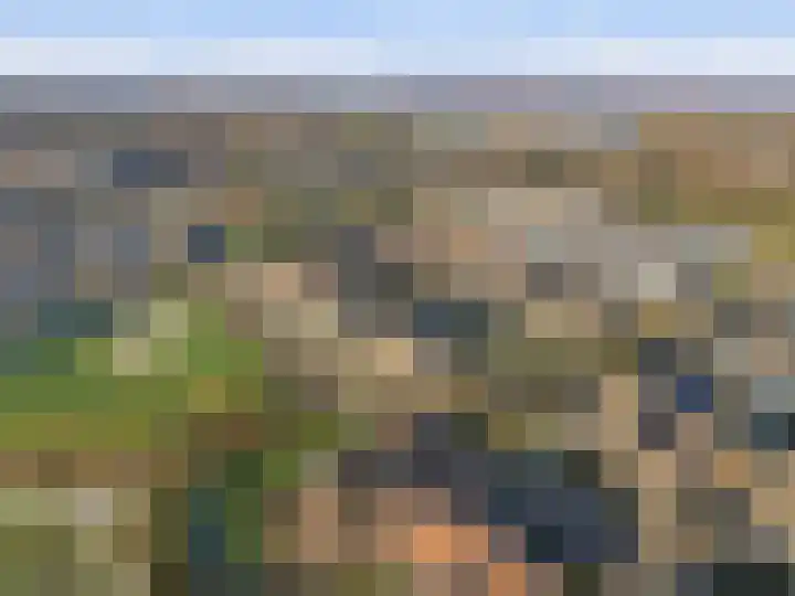 Akkerdistel 63 Klazienaveen thumbnail 37