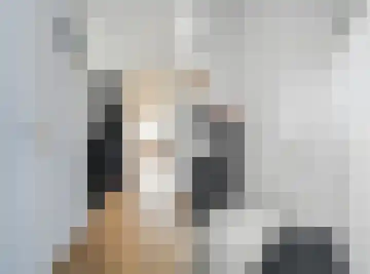 Akkerdistel 63 Klazienaveen thumbnail 5