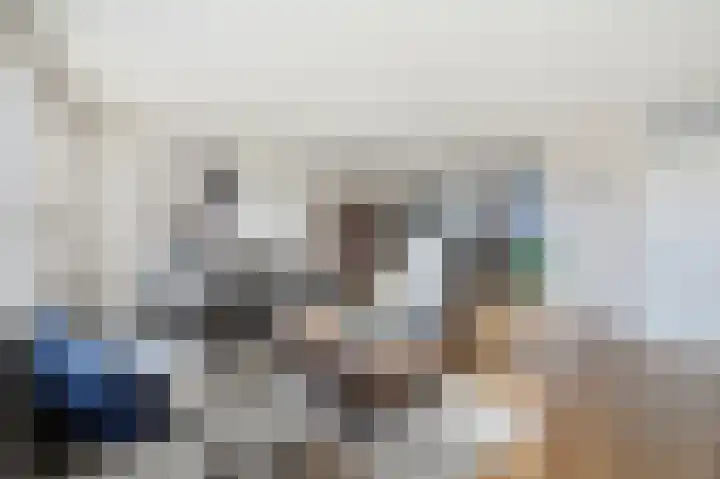 Akkerdistel 63 Klazienaveen thumbnail 8