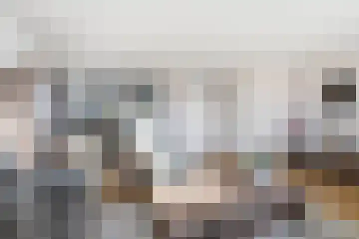 Akkerdistel 63 Klazienaveen thumbnail 9