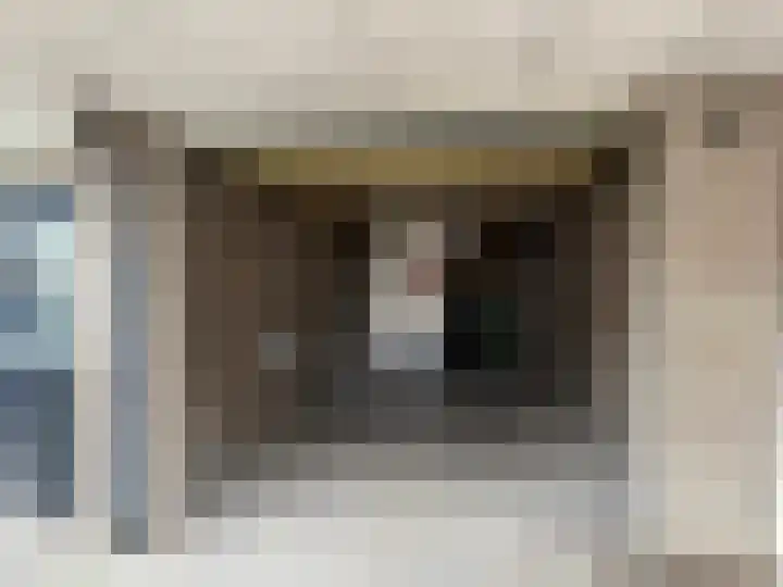 Akkerdistel 71 Klazienaveen thumbnail 13