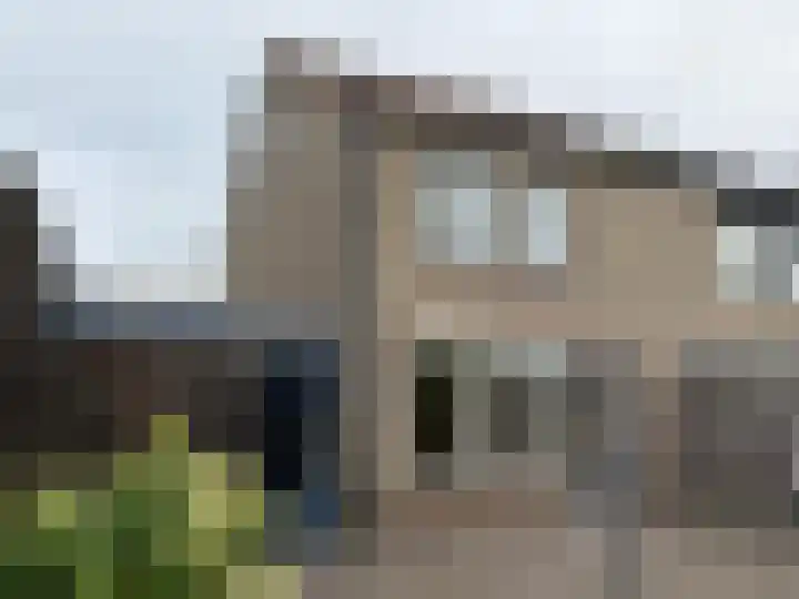 Akkerdistel 71 Klazienaveen thumbnail 14