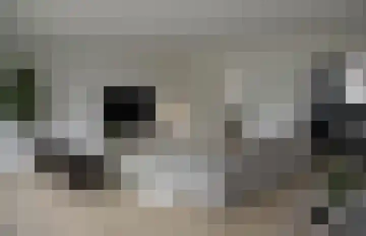 Akkerdistel 71 Klazienaveen thumbnail 5