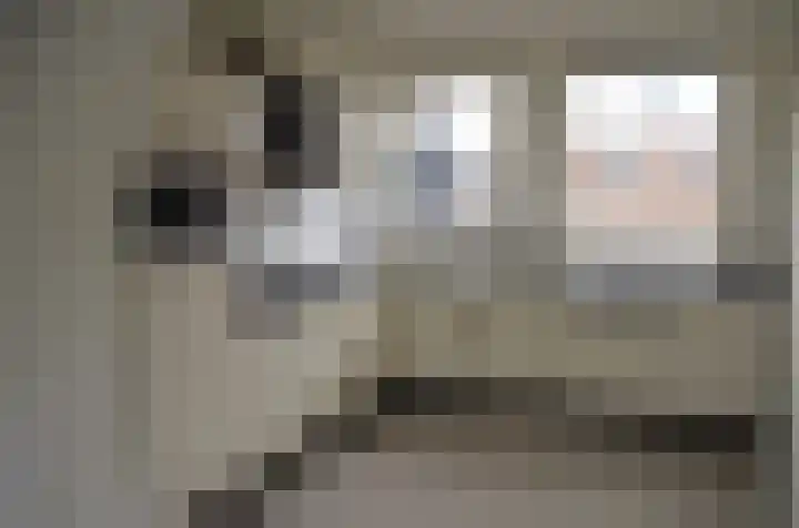 Akkerdistel 71 Klazienaveen thumbnail 6