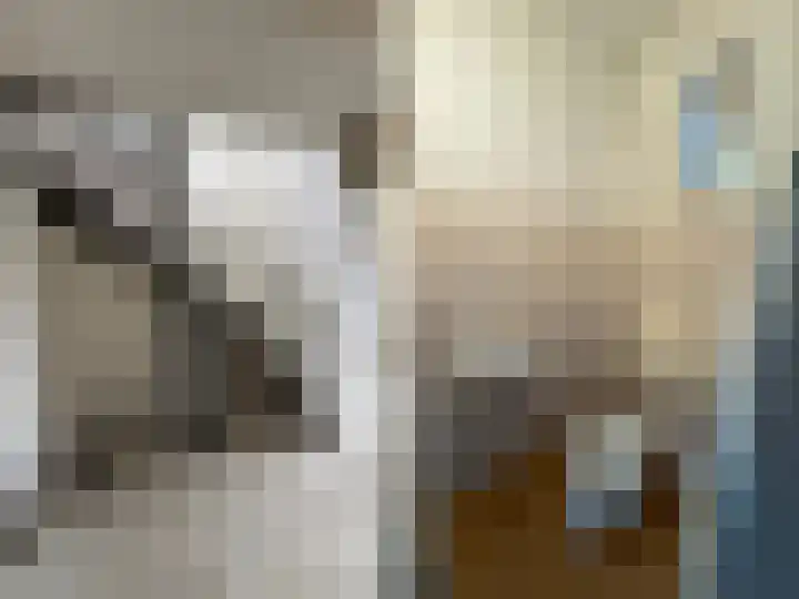 Akkerdistel 71 Klazienaveen thumbnail 8