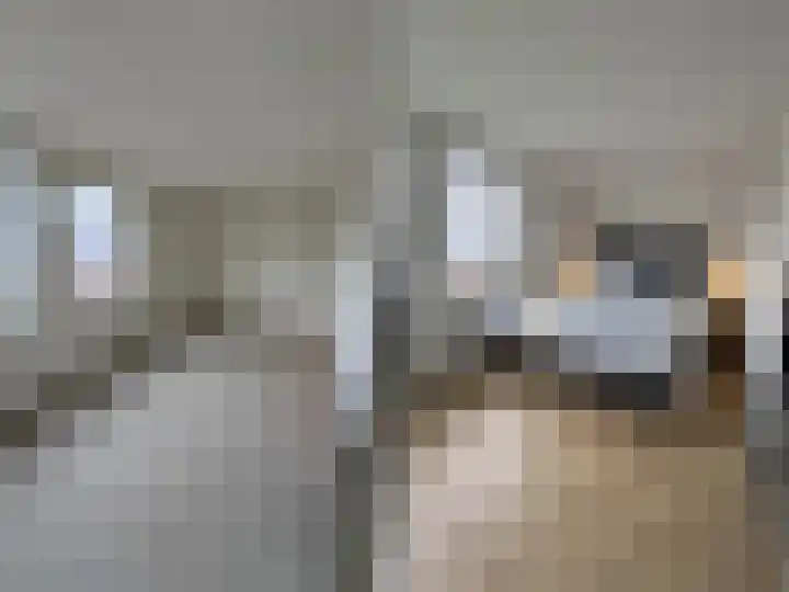 Akkerdistel 71 Klazienaveen thumbnail 9